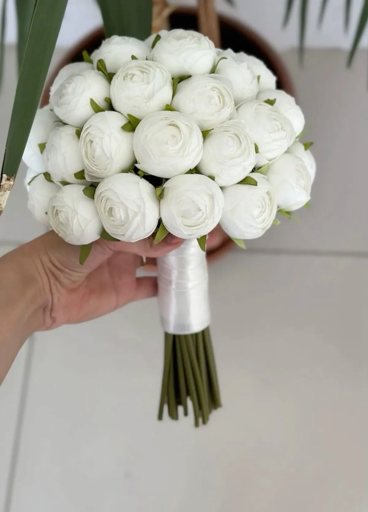 Ranunculus